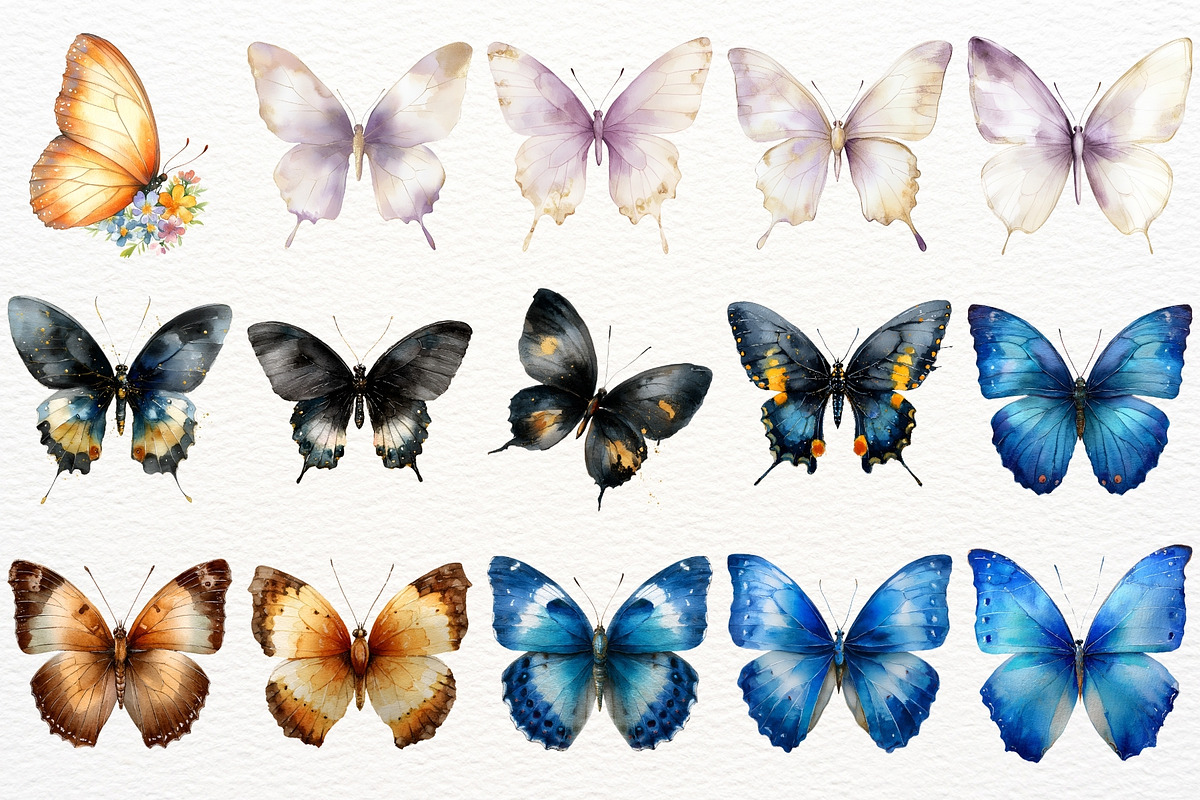 Floral Butterfly Clipart Summer PNG, an Animal Illustration by SugarCloudStudioArt (Photo 3 of 8)