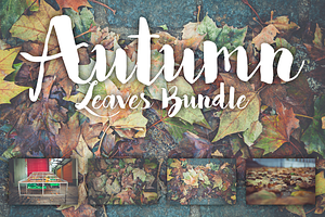 Autumn leaves bundle containing autumn, autumnal, and bundle