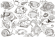 Marine life set., an Animal Illustration by FoxyDraw (Thumbnail 5 of 8)