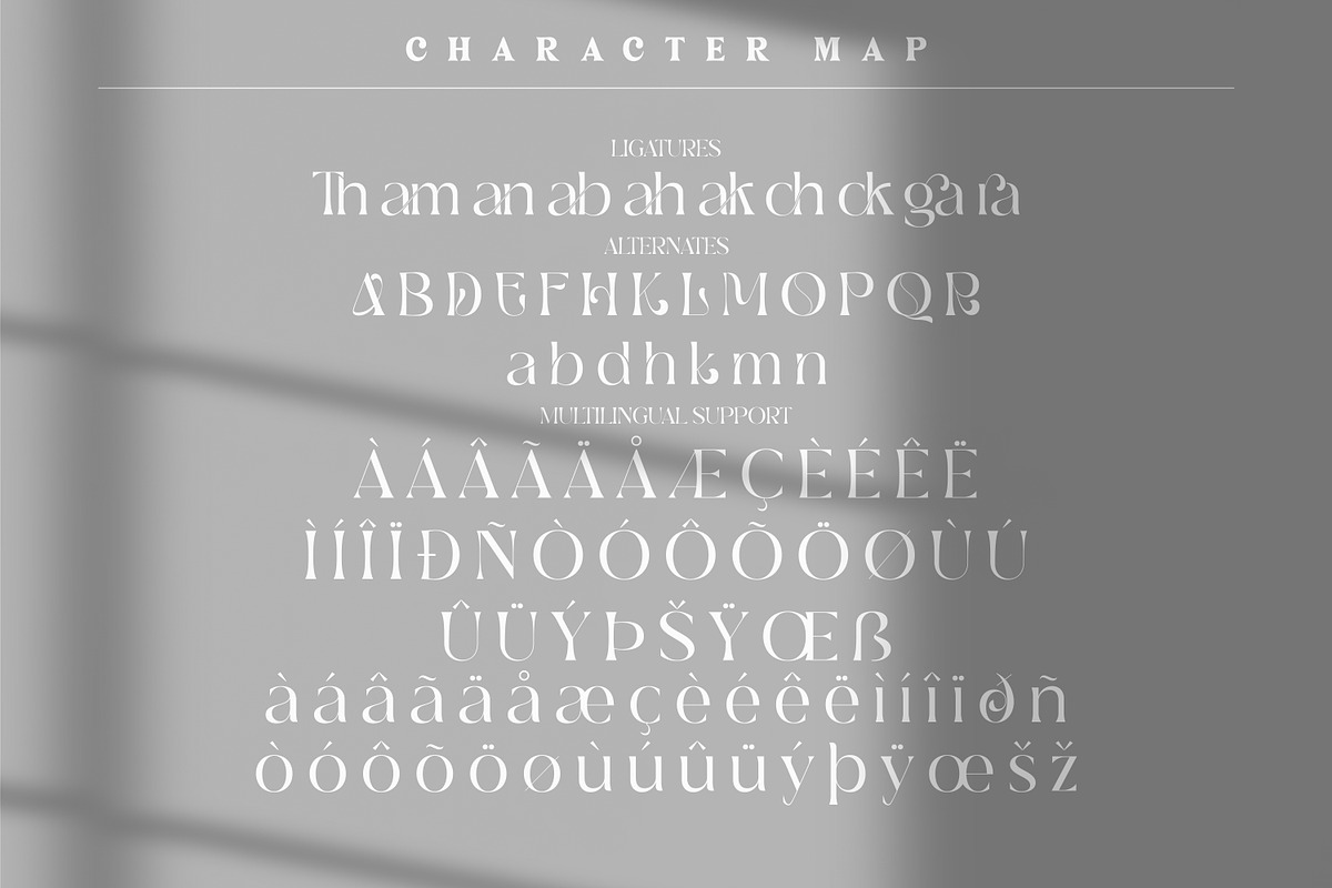 Deraga Modern & Stylish Font, a Serif Font by Storytype Studio (Photo 9 of 10)