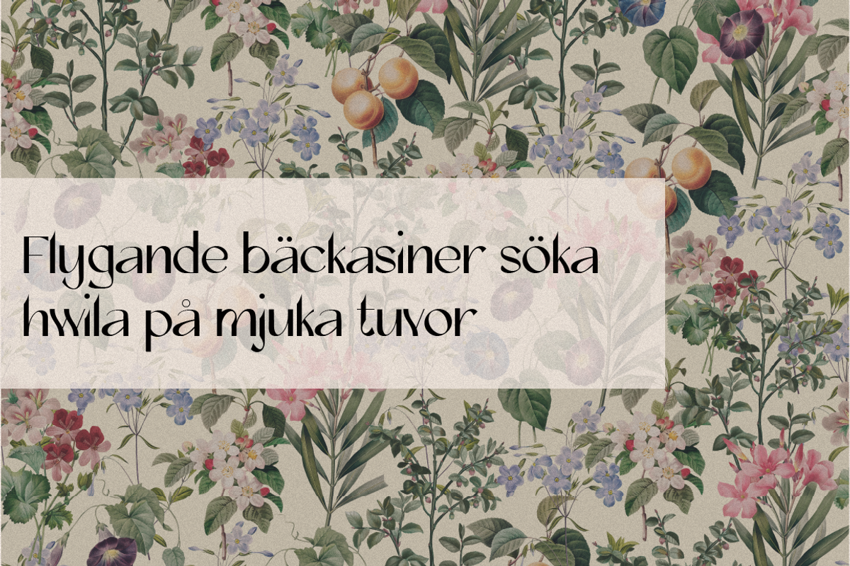 Asteria - Bold San Serif Font, a Sans Serif Font by Kami Alicja (Photo 8 of 8)