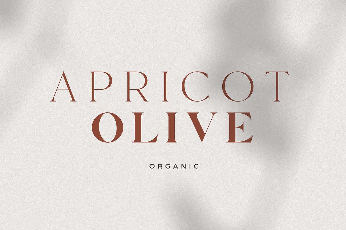 Hello Paris - Variable Duo, a Serif Font by Sans & Sons (Photo 11 of 29)