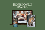 90 Cinematic Fox Stock Photos, an Animal Photo by Incomelion (Thumbnail 2 of 15)