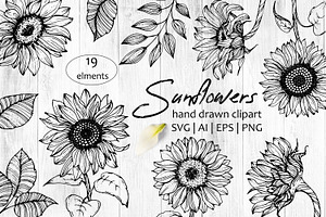 Sunflowers. Ink Line Art