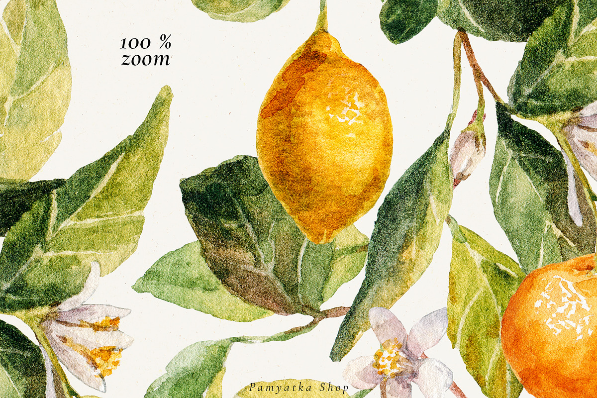 Watercolor Mediterranean summer life, a Decorative Illustration by Pamyatka Shop (Photo 6 of 25)