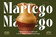 Martego Modern Bold Serif Font, a Serif Font by timelesstype.co (Thumbnail 1 of 20)