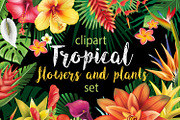 Tropical Flowers, an Illustration by ViktoriaARTprint (Thumbnail 1 of 10)