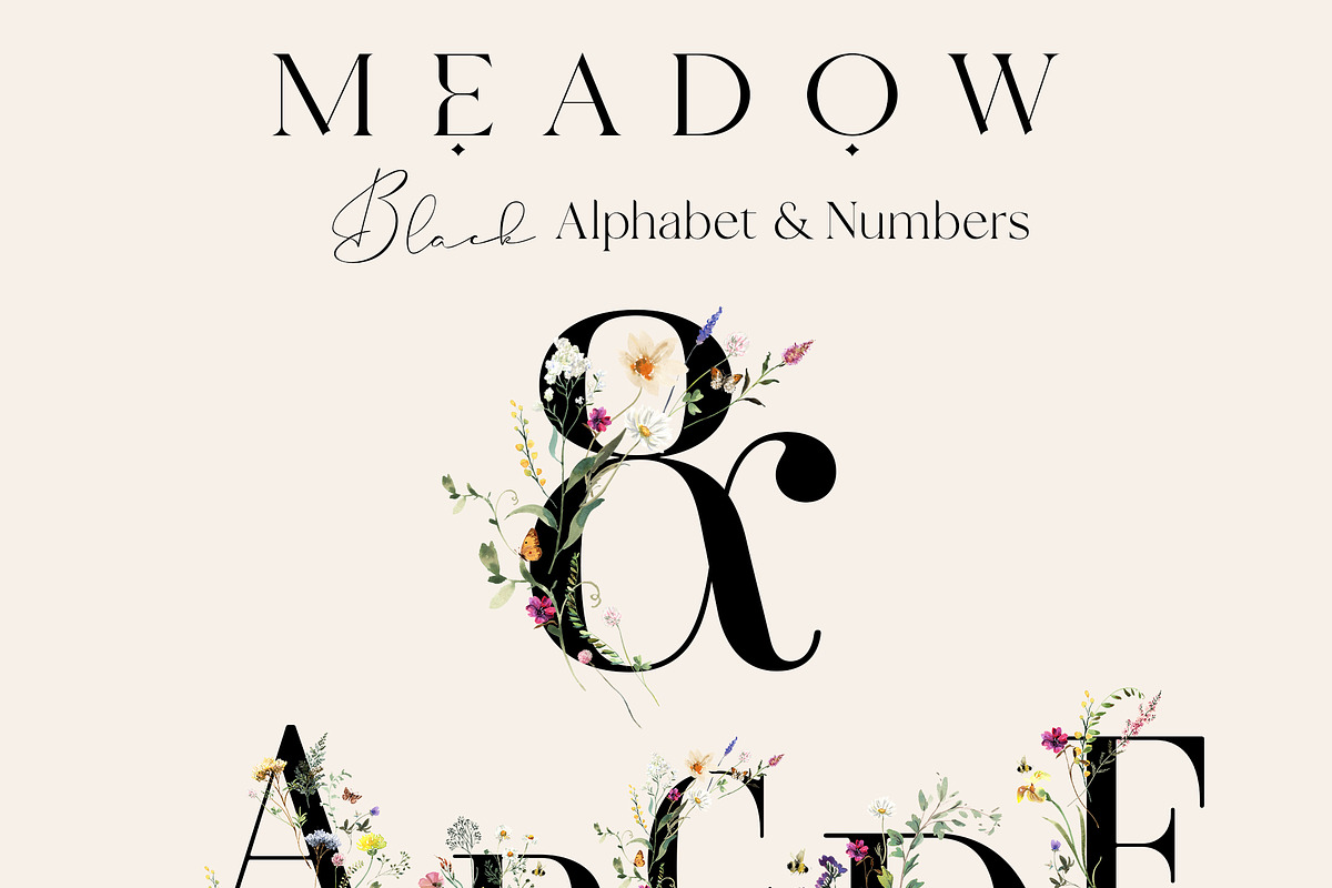 Meadow Wildflower Graphics, an Illustration by Twigs and Twine (Photo 9 of 14)