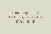 Ayilka - Elegant Display Serif, a Serif Font by BrandSemut (Thumbnail 9 of 9)