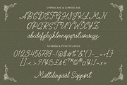 Aurelia Pearl Romantic Handwritten, a Handwritten Font by Haps Space (Thumbnail 6 of 8)