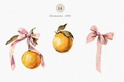 Watercolor Oranges and Bows, a Decorative Illustration by ThaismotaCreativeCo (Thumbnail 3 of 10)