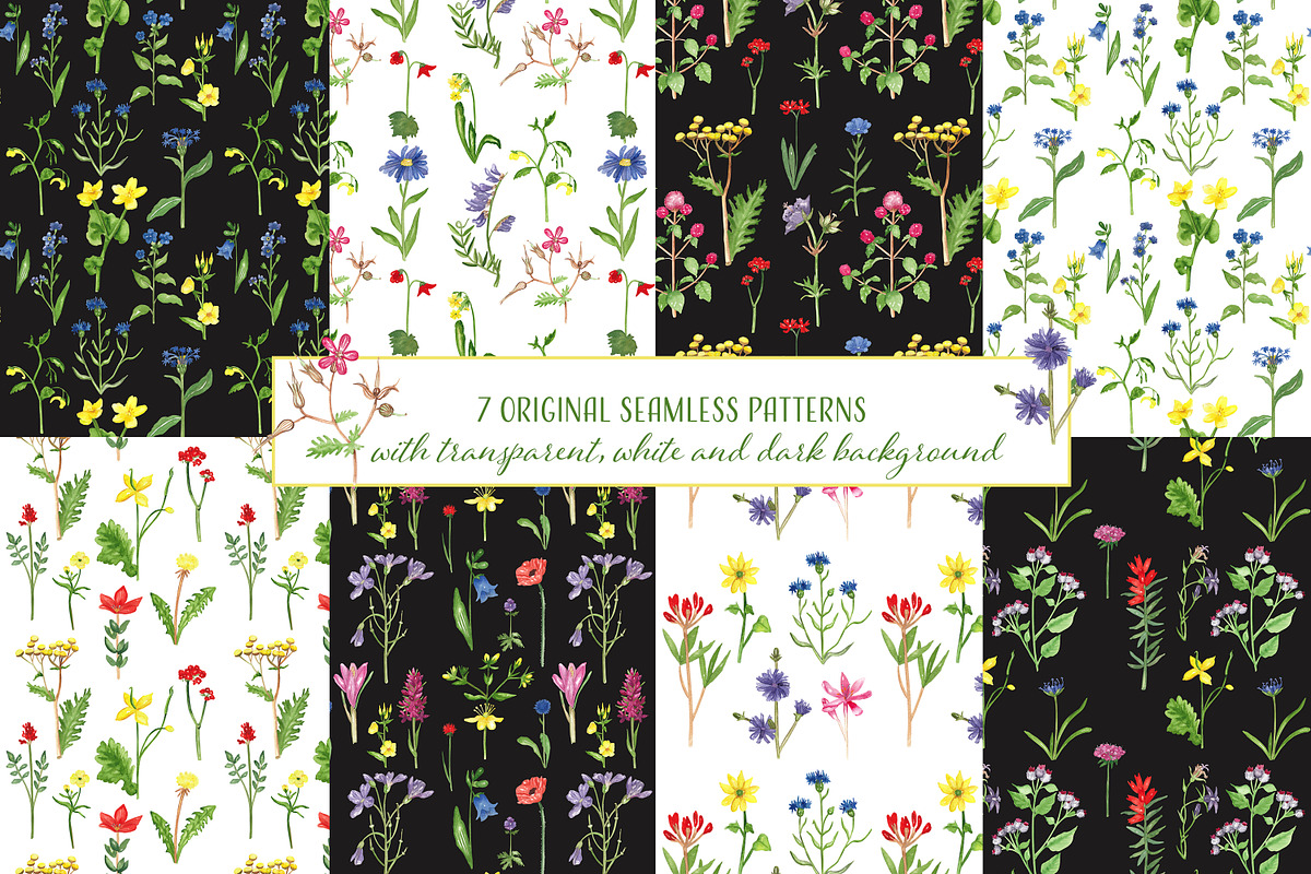 Wildflowers stories, an Illustration by Visual Animal (Photo 6 of 7)