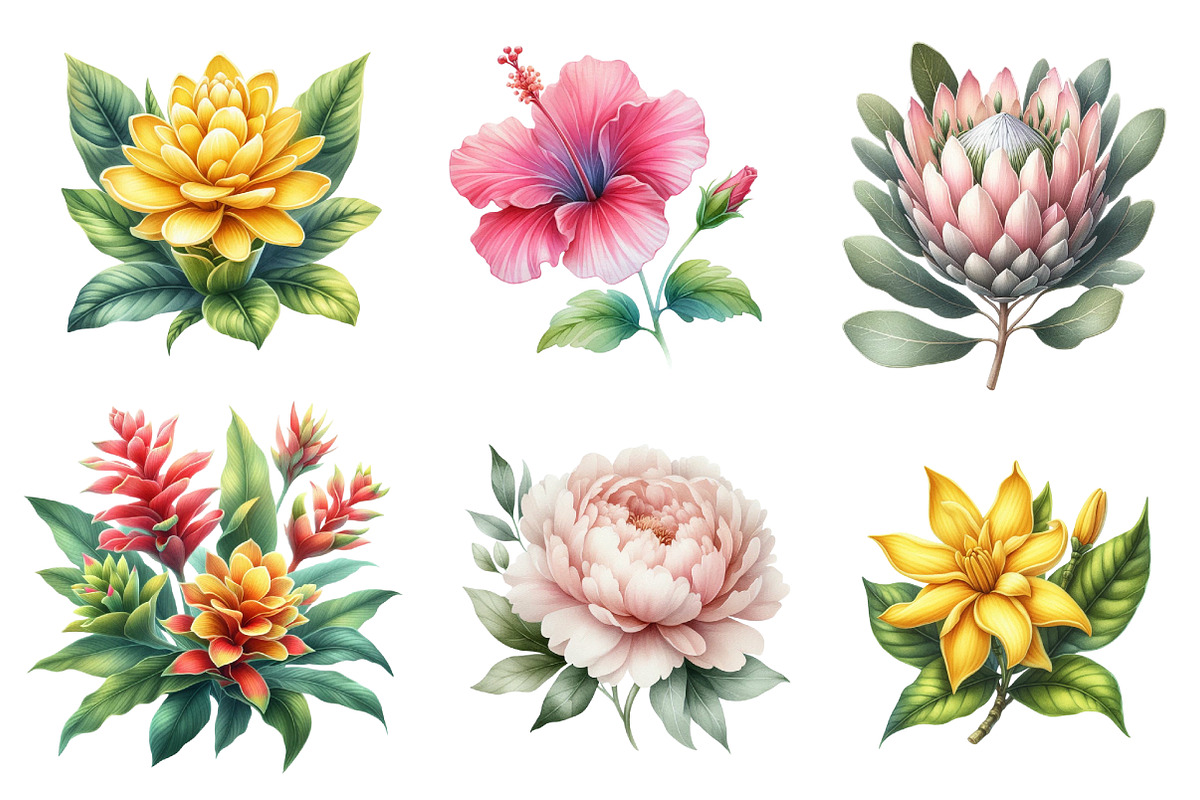 Watercolor Tropical Flowers Clipart, an Illustration by CreationArt (Photo 3 of 5)