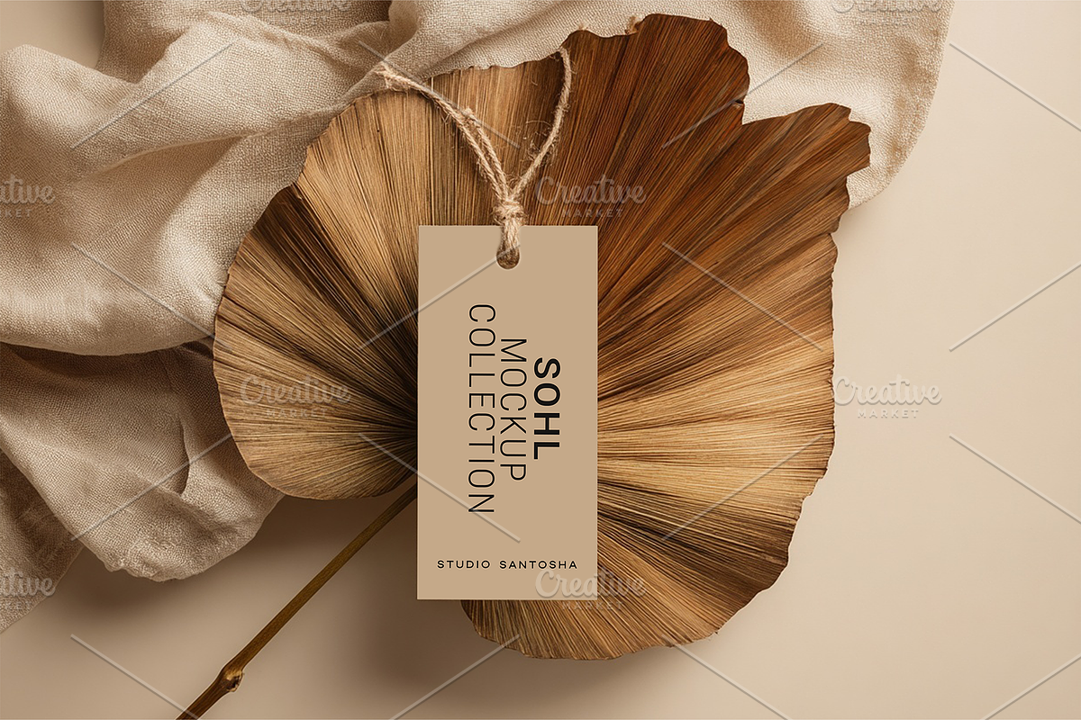 Sohl Mockup Collection, a Mac Mockup by Studio Santosha (Photo 1 of 14)