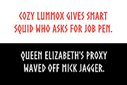 NORTHMAN, a Font by Loudoun Design Co. (Thumbnail 4 of 5)