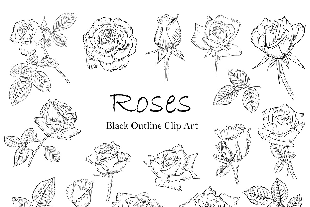 Roses flowers lineart clipart., a Graphic by svetodesign (Photo 2 of 5)
