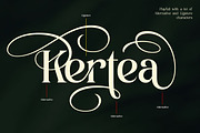 Ladya | Serif Display Font, a Serif Font by Ekahermawan (Thumbnail 3 of 15)