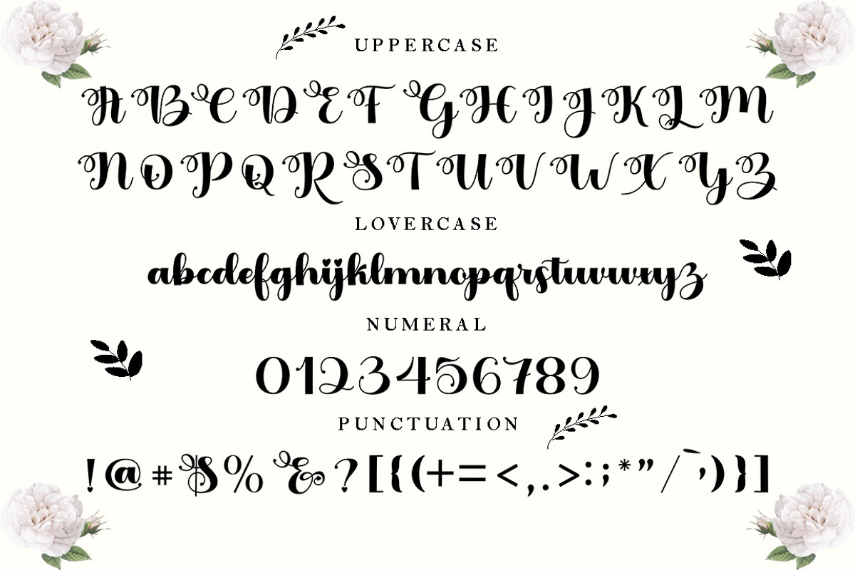 Baile Guneta, a Script Font by TM Type (Photo 8 of 10)