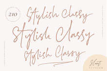 SALE! Stylish Classy (2 Fonts)