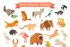 North America animals