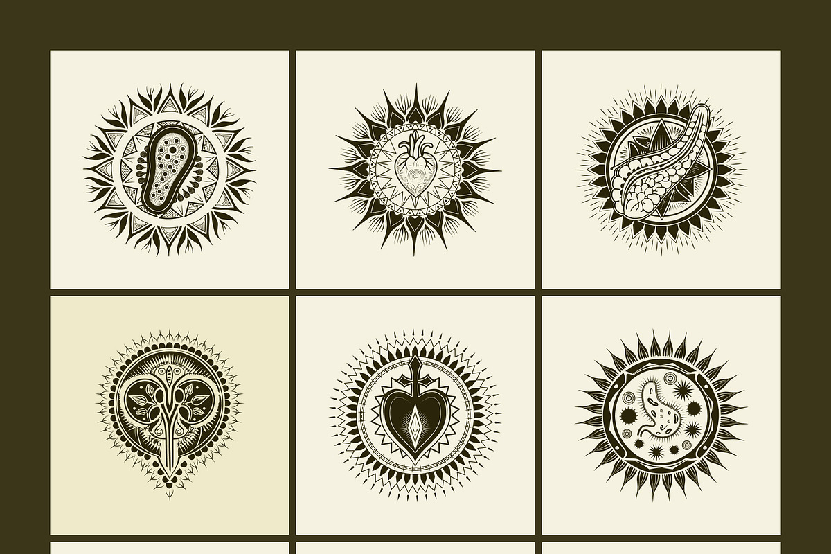 100 Anatomical Illustrations Set, an Education Illustration by Prosymbols (Photo 7 of 11)