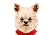 Puppies Dog Breeds Big Bundle 135Pcs, an Animal Illustration by Dneprstock (Thumbnail 8 of 68)