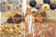 Soft Floral Paper Textures, a Background Graphic by Vika_Softlife (Thumbnail 4 of 6)
