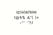 Chia Bianville Elegant Serif Font, a Serif Font by UICreative (Thumbnail 10 of 13)