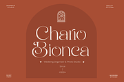 Bright Glitten, a Serif Font by zeenesia (Thumbnail 11 of 20)