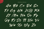 Vaughn Daniel Bold Handwritten Font, a Script Font by stylishtype.co (Thumbnail 16 of 19)