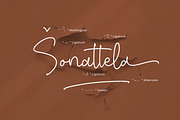 Miquella Sienanta, a Script Font by Integritype Studio (Thumbnail 14 of 15)