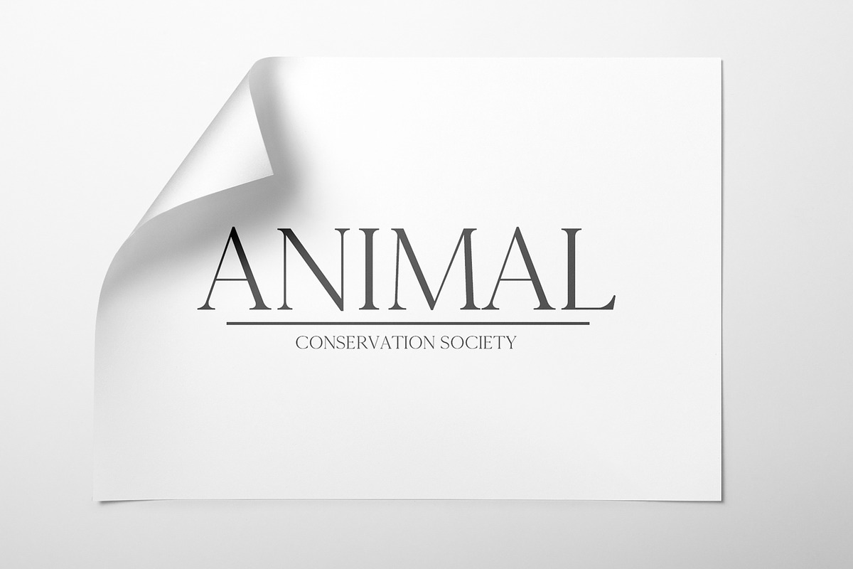Cammron Font | FontCypress