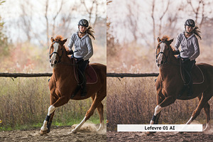 20 Equestrian Lightroom Presets LUTs