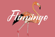 Qistty - Casual Display Font, a Font by Saxofont (Thumbnail 2 of 8)
