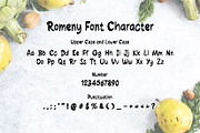 Romeny Sans Handwritten Font, a Handwritten Font by Gumrega Studio (Thumbnail 4 of 6)
