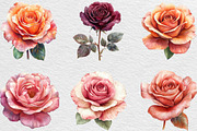 Rose Flower Clipart Bundle, an Illustration by Black Bird Studio (Thumbnail 2 of 6)