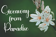 Natural Paradise, a Handwritten Font by FreshTypeINK (Thumbnail 7 of 7)