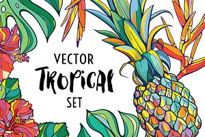 Vector tropical set