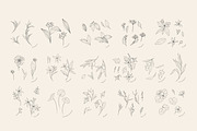 Cosmetic herbs, a Decorative Illustration by Merfin (Thumbnail 6 of 6)