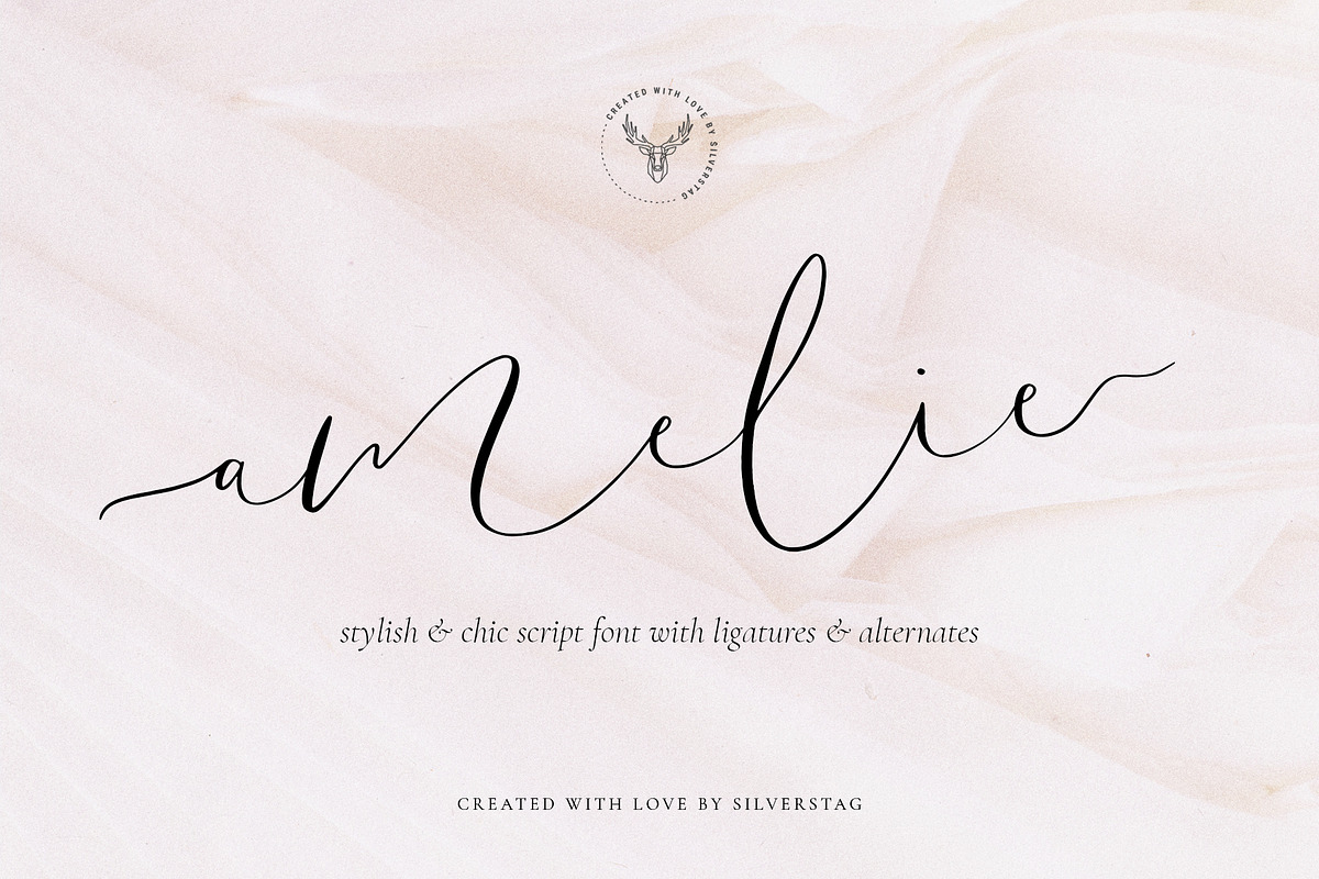 Amelie - Chic & Elegant Script Font, a Script Font by SilverStag Type Foundry (Photo 23 of 23)