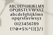 Aveline Chapter, a Sans Serif Font by Zafiratype (Thumbnail 15 of 15)