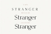 Hunter - Serif Ligature Font, a Serif Font by Tropical Type (Thumbnail 6 of 8)