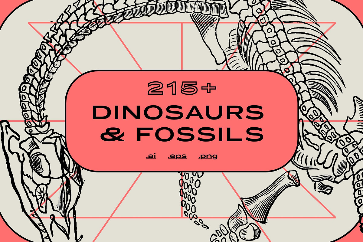 The Vintage Bundle, an Object Graphic by Nomad Visuals (Photo 11 of 45)
