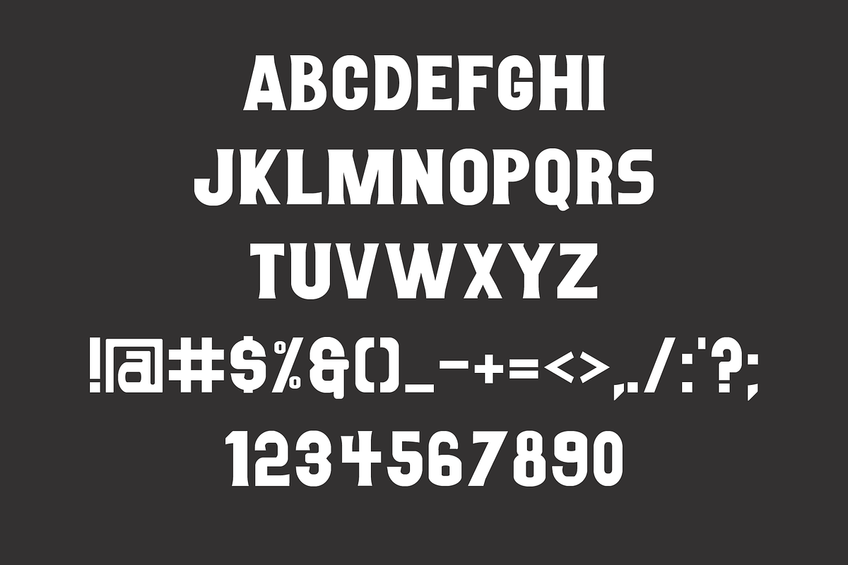 Steindale - Vintage Serif Font, a Serif Font by The Forge Type Co (Photo 7 of 11)