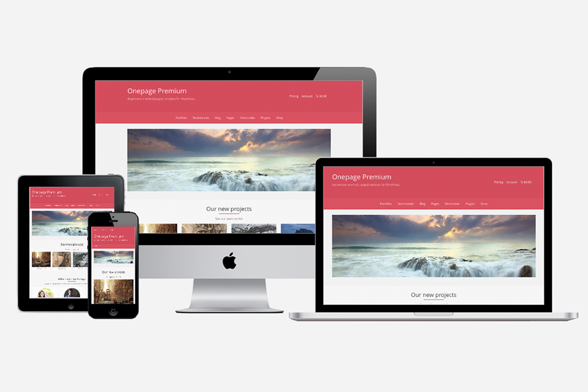 Onepage Premium, a WordPress Template by Iografica Themes (Photo 1 of 2)