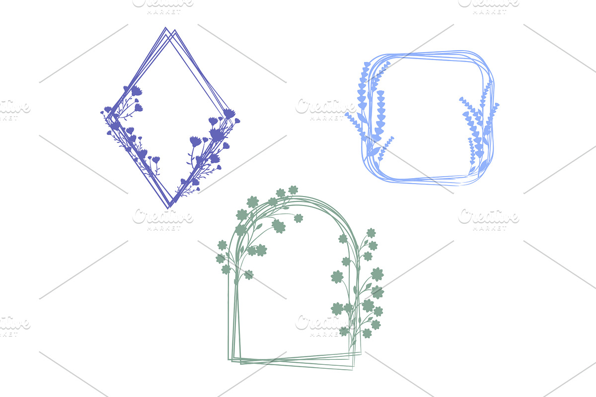 Collection of decorative botanical, an Illustration by okskukuruza