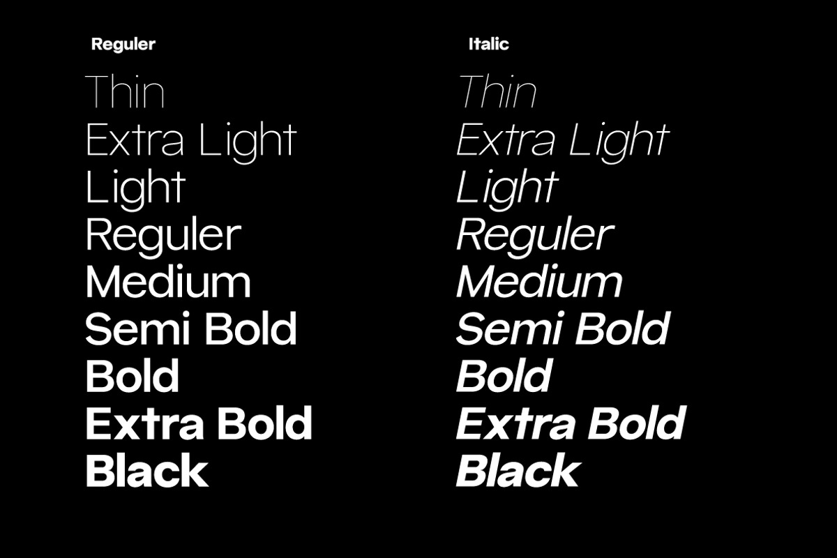 Caliburn Grotesk | Modern Variable, a Sans Serif Font by InkwellTypeCo (Photo 14 of 15)