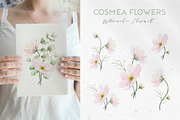 Pink Flowers Watercolor clip art, an Illustration by Fedulova Art (Thumbnail 2 of 12)