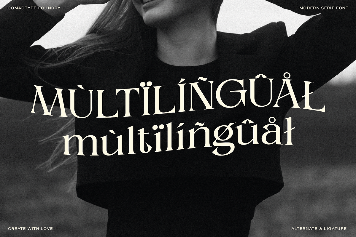 Alverich - Modern Serif Font, a Serif Font by Comactype Foundry (Photo 19 of 22)