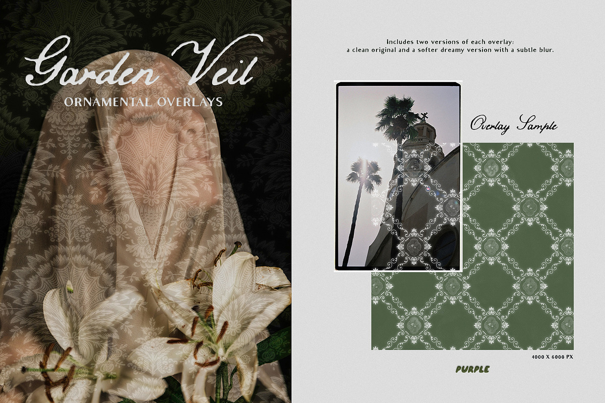 Garden Veil: Lace Overlays, a Texture Graphic by Purple (Photo 1 of 16)